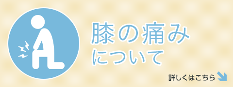 膝の痛みについて